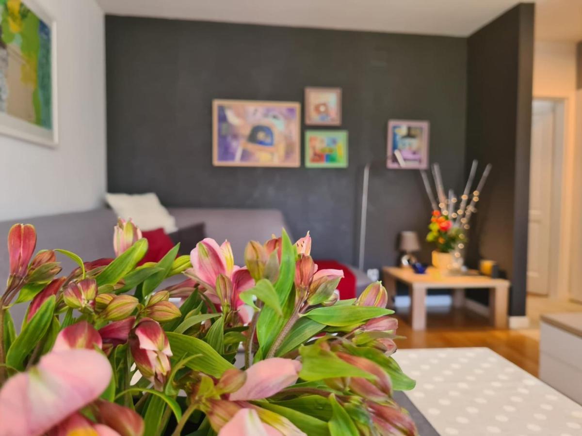 Apartment Vedrana ロヴィニ エクステリア 写真