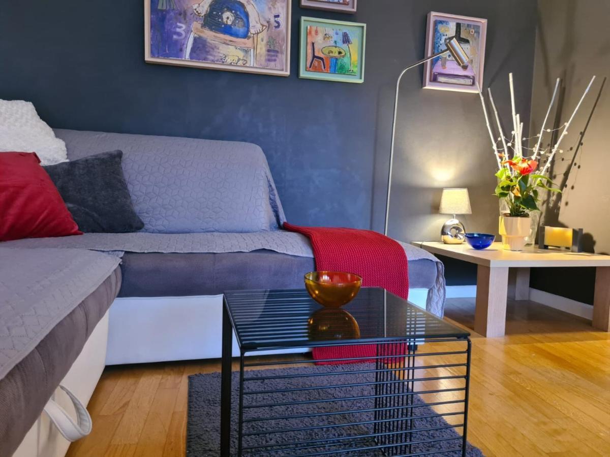 Apartment Vedrana ロヴィニ エクステリア 写真